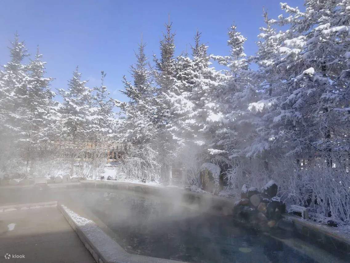 Spring Realm Wanda Realm Resort Hannashan Hot Spring Hotel Accommodation Package ...